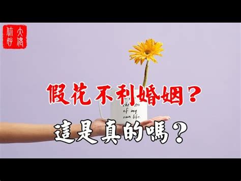 屋企放假花|家中假花宜忌須知